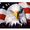 Photo of Patriotic P.