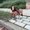 Photo of Jamie P.