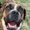 Photo of Reveille H.