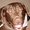 Photo of Deb C.
