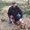 Photo of Chris B.
