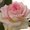 Photo of Marisela M.