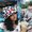 Photo of Priyanka M.