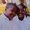 Photo of Shariba T.