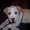 Photo of Qype User (jschei…)