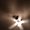 Photo of Bee A.