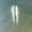 Photo of MyRakesBack.com O.