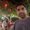 Photo of Kailash K.