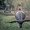 Photo of Diep D.