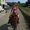 Photo of Chiara D.