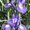 Photo of Qype User (IrisLe…)