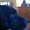 Photo of Matt T.