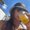 Photo of Giannelly R.