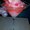 Photo of Anica M.