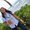 Photo of Cinthya B.