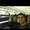 Photo of Pedram S.