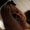 Photo of Desiree R.