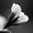 Photo of Neisha R.