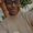 Photo of JaDae S.
