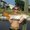 Photo of Heather F.