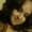 Photo of Lupita L.