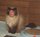 Photo of Jickles H.