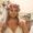Photo of Ashleigh D.