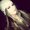 Photo of Lexie D.