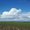 Photo of Jesse O.