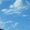 Photo of April W.