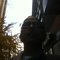 Srinath S.