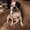 Photo of lizzy a.