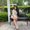 Photo of Nilima S.