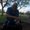 Photo of Chris V.