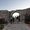 Photo of Gazi B.