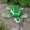 Photo of Nikki P.