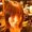 Photo of Jessyca P.