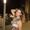 Photo of Mariana M.