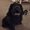 Photo of Mandy J.