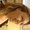 Photo of Qype User (Ruthie…)