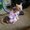 Photo of Ginger N.