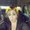 Photo of Leah A.