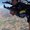 Photo of Mayank A.