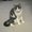 Photo of Mitali P.