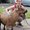 Photo of Cindy R.