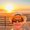 Photo of Sandra S.