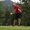 Photo of Andy M.