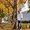 Photo of Vinay P.