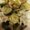 Photo of Cathy M.