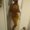 Photo of Yesenia P.